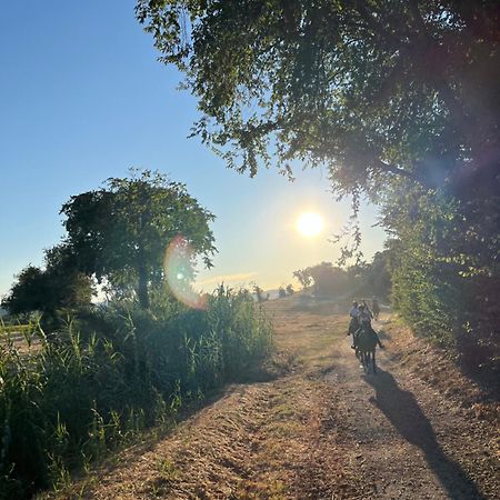 Agriturismo Hornos Numana Eksteriør billede