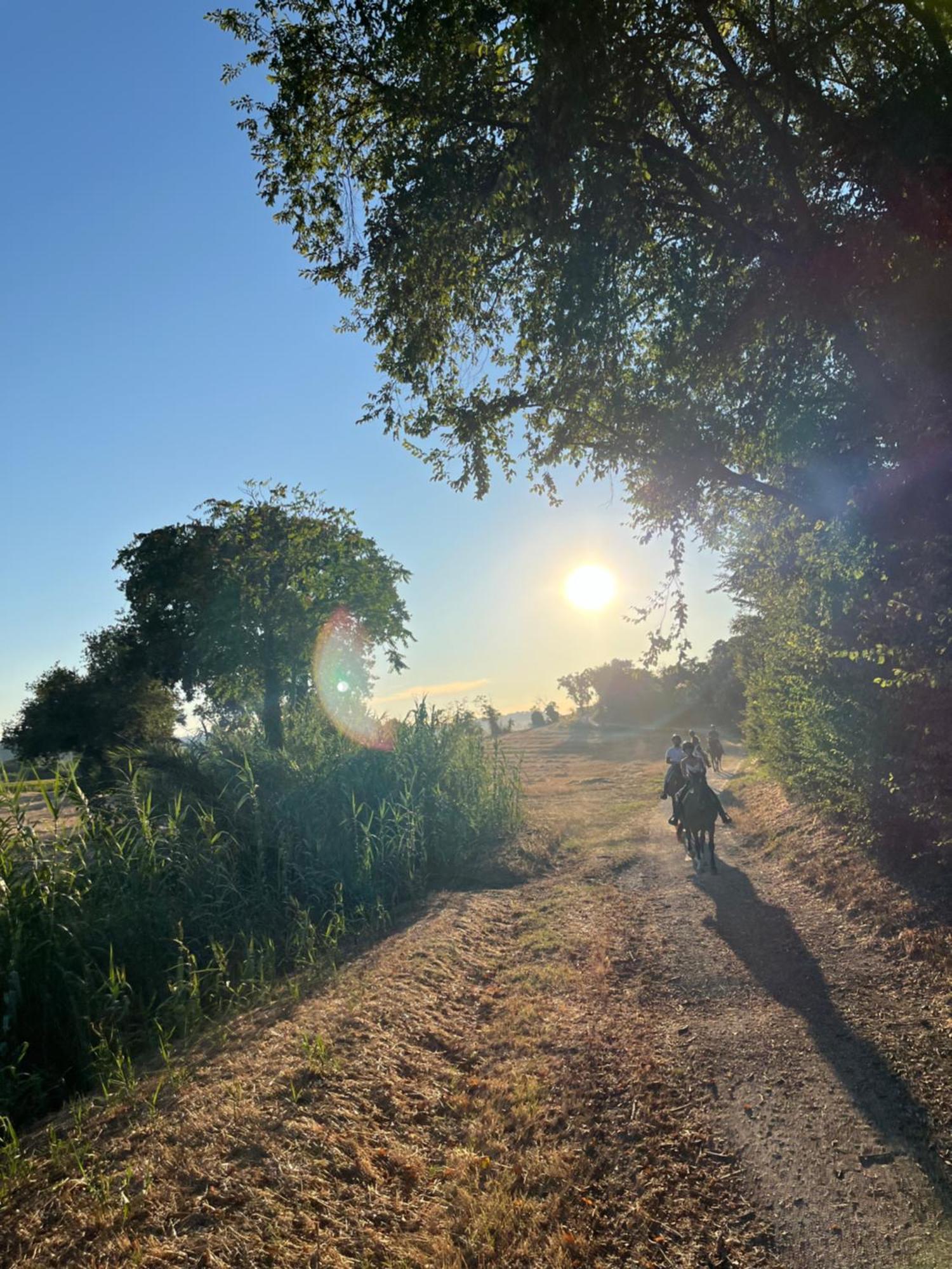 Agriturismo Hornos Numana Eksteriør billede