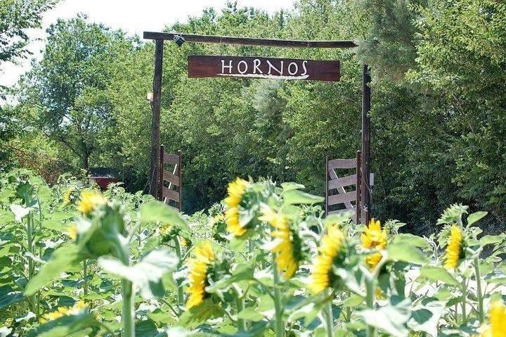 Agriturismo Hornos Numana Eksteriør billede