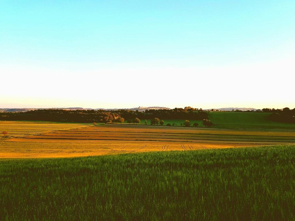 Agriturismo Hornos Numana Eksteriør billede